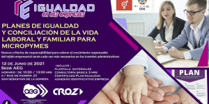 Planes de Igualdad y conciliación de la vida laboral y familiar para Micropymes